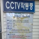 온천천시민공원 붓드레아 | 부산 무료 자전거대여 연제구자전거대여소 아이와 온천천 자전거타기