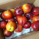 원씨네농장 이미지