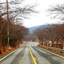 사천1리 마을회관 이미지