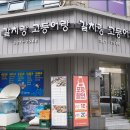 갈치랑고등어랑