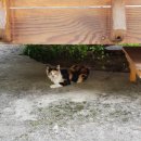 도독마을회관 이미지