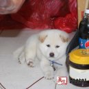 풍산농장 이미지