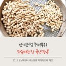 오남매농장 이미지