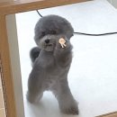 풋살교실 | [공지] 대구여자풋살ㅣ에이치엘 축구교실 성인축구 풋살 레슨 후기 ⚽️