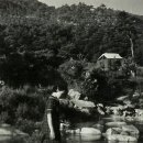 한국천기권의료기 이미지