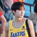 파트라슈 이미지