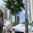 주말 데이트 : 동묘 야구유니폼 찾아 삼만리!