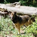 원전초등학교 이미지