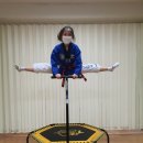 국가대표 아우라 태권도 이미지