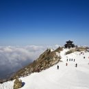 덕구식품