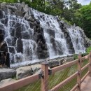 더드림커피 북부정류장점 이미지