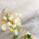 하엘플라워