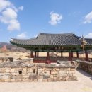 순천-43호 이미지