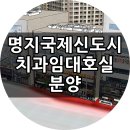 명지국제신도시 치과 임대가 맞춰진 중심상가 5층 분양 이미지