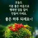 즐거운 이미지