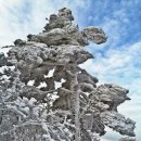 1/12~13 지리산 (천왕봉.1915M) 무박, 일출산행 안내 이미지