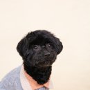 구르미살롱 이미지