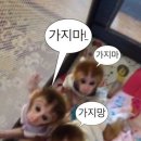 서초대로 94 이미지