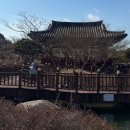 왕인박사유적지 월악루 | 반려견과 즐겁게 산책할 수 있는데 상품권 까지 받을수 있다고???영암 왕인박사유적지 스탬프투어