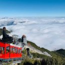 프랑스 자수(야간) | 🌿 베트남의 숨겨진 낙원, 사파 여행기 – 자연과 문화가 어우러진 힐링의 시간