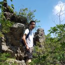 늑대와 여우 이미지