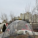 달인의찜닭 | 대구 달인의 찜닭 진천점, 산토리니 분위기 카페 롤링핀 대구수목원점 내돈내산 솔직후기