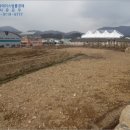 북이면보건지소 네이버블로그