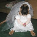 강생이랑 이미지