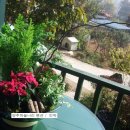 하늘나리민박 이미지