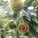 수현농장 이미지