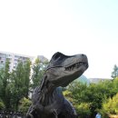 중계근린공원 이미지