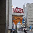 금창 | 여자 혼자 도쿄 3박4일 후기