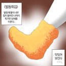 올키움투자자문 | 8월, …………..여름이였다 .(당연한 말;^^)