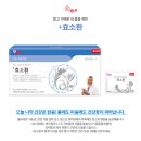 환100가지