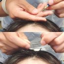 제와이붙임머리 | 광교 한올붙임머리 더 모어 앞머리 붙임머리 증모술 후기 (가격,유지기간)
