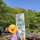 용인시육아종합지원센터 &lt;숲에서 놀자!&gt; 후기