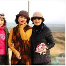 2023년3월4일[토]석모도보문사 꼬막한상과루프탑,김포수산공원(6) 이미지