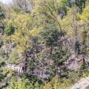 임학공원(임학정) 이미지