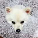 룩바디 짐 이미지