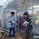 그늘막74 이미지