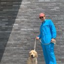 박은석 카카오 검색결과