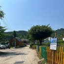 스테이제부(3) 네이버블로그