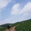 김삿갓면-24 이미지