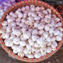 베트남 &#34; 닌빈의 드래곤 재래시장의 풍경 이미지