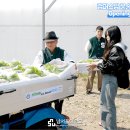 스마트텍주 티스토리