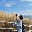 증산초등학교 | [강원도] 정선 가을명소 민둥산 억새축제 초보자 등산코스 후기 주차정보