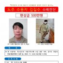 유유히 이미지