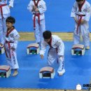 호림태권도체육관 이미지