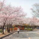 연산역(사직운동장 방면) 이미지