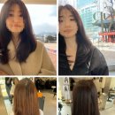 (주)코리아세븐종각점 | 종각] 트리트먼트 서비스_염색 잘하는 곳_그라벨르헤어_태린샘